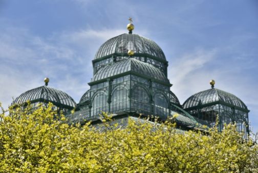 Partie des Serres Royales en cours de Restauration abritant le Jardin du Congo au domaine royal de Laeken à Bruxelles